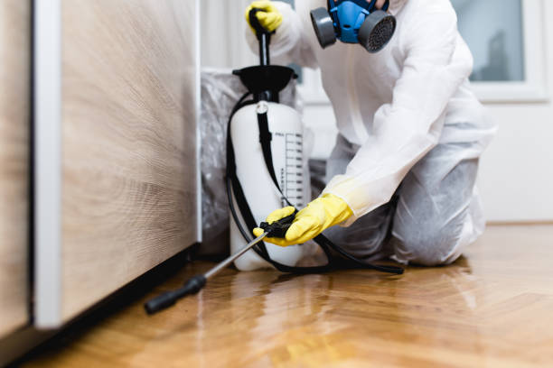 Best Best Pest Control Companies  in Bedford, OH
