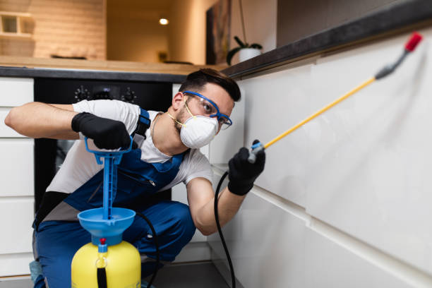 Best Wasp Removal Services  in Bedford, OH