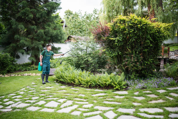 Best Emergency Pest Control  in Bedford, OH