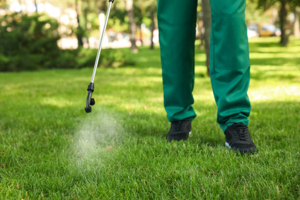 Best Rat Extermination Near Me  in Bedford, OH