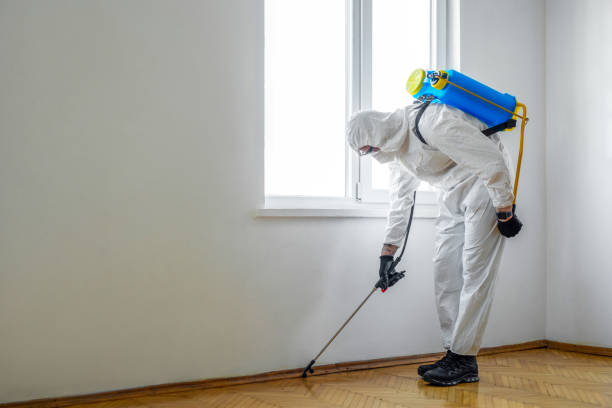 Best Termite Control Services  in Bedford, OH