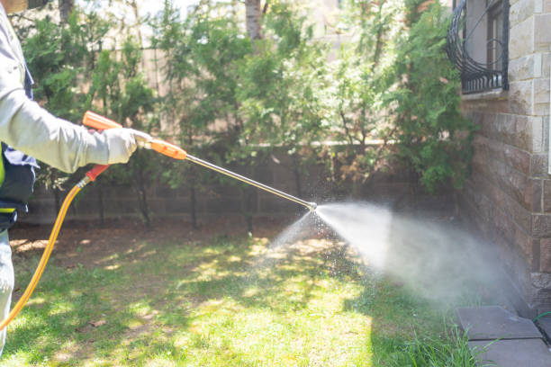 Best Local Pest Control Services  in Bedford, OH