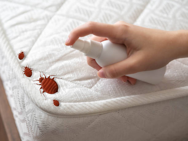 Best Cockroach Control Services  in Bedford, OH