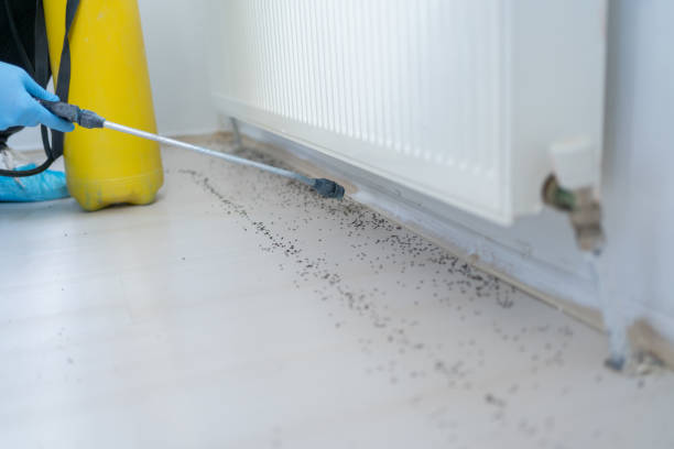 Best Affordable Pest Control Services  in Bedford, OH