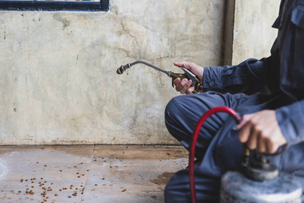 Best Best Pest Control Companies  in Bedford, OH